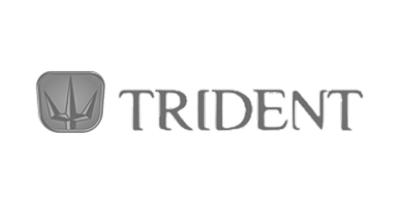 Trident logo